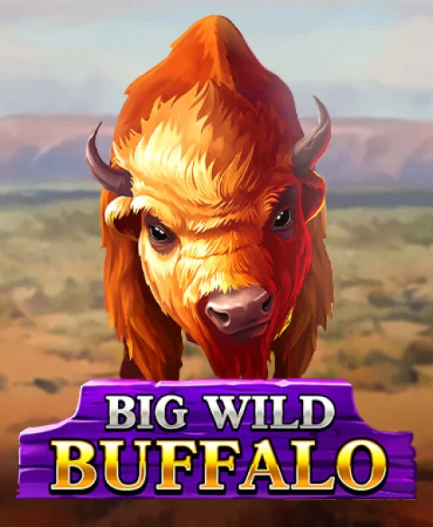 인스턴트 보너스 히어로 카지노에서 Big Wild Buffalo를 즐겨보세요
